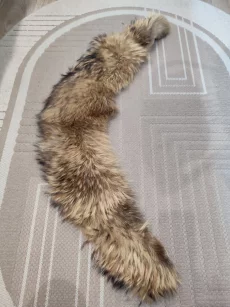 Воротники из натурального меха