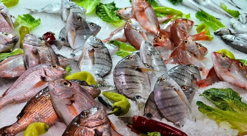 5 самых полезных видов рыбы