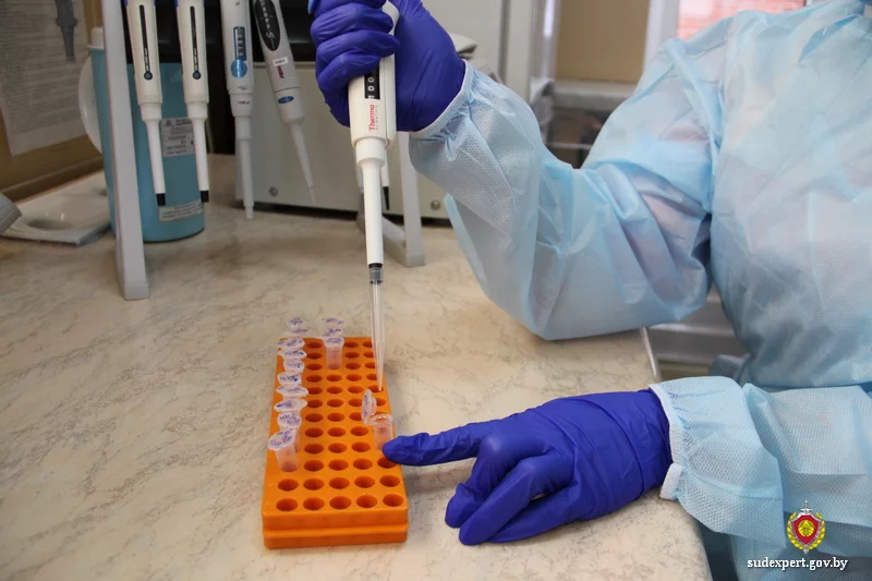 Бобруйчанка доказала отцовство умершего мужчины с помощью ДНК-экспертизы