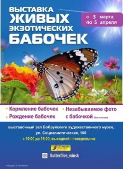 Выставка живых экзотических бабочек