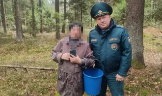 В Бобруйском районе спасатели нашли заблудившуюся в лесу женщину