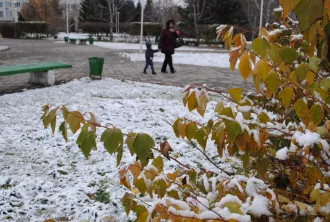 Мокрый снег и порывистый ветер ожидаются в Могилевской области 13 октября