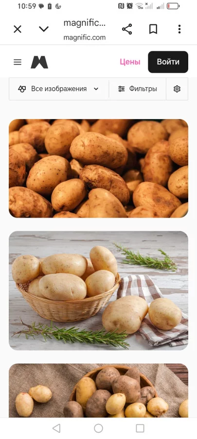 Картофель