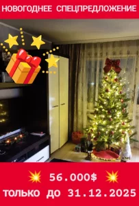 3-комн. квартира с мебелью по ул.Рокоссовсксого 40