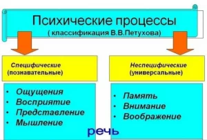 Миологопед, логопед - дефектолог, логопедический массаж