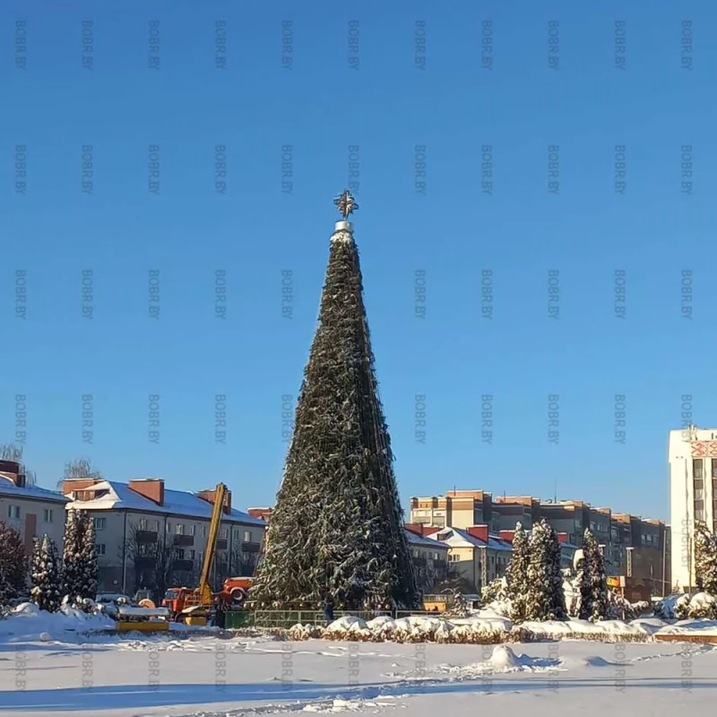 Даже ёлочка под колпаком..