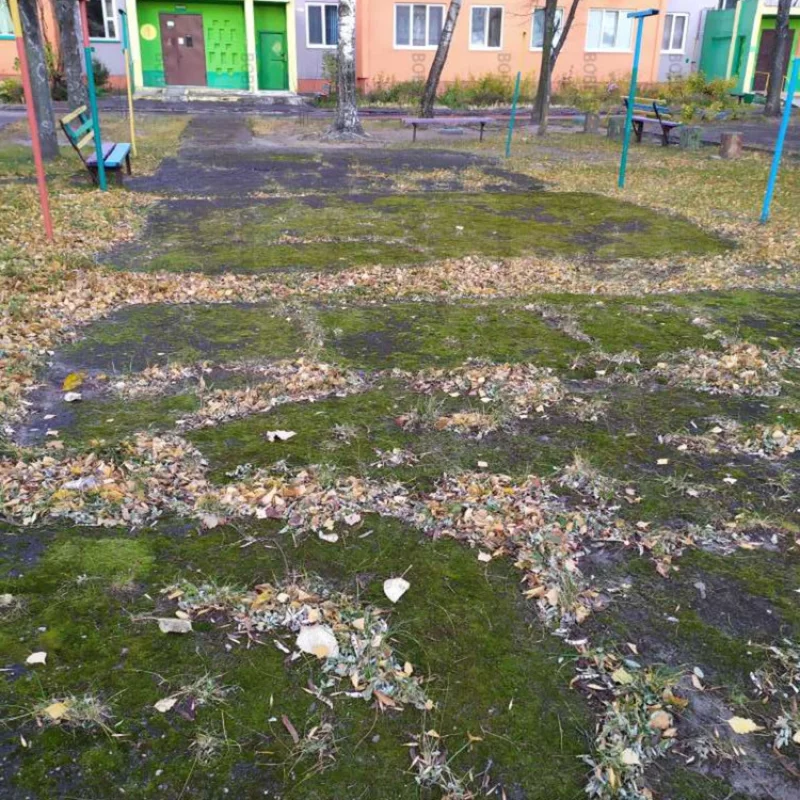 Да порасти всё мхом