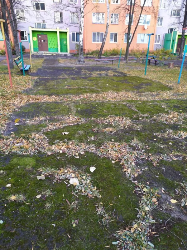 Да порасти всё мхом