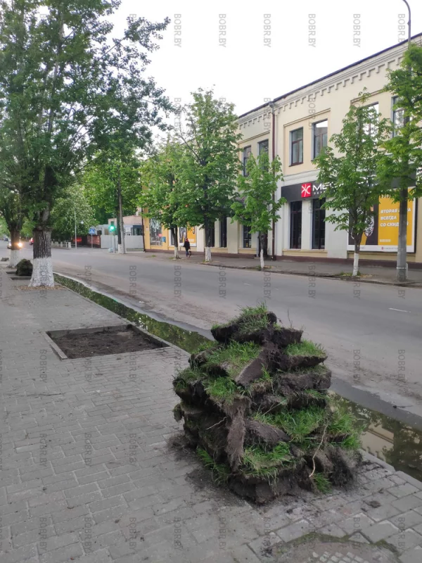 Альпийская горка, которую мы заслужили.