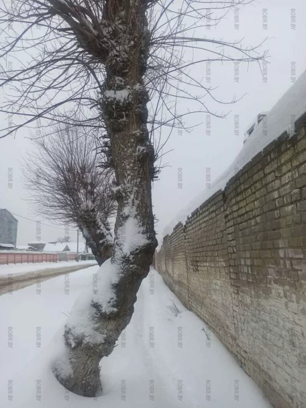 По улицам родного города