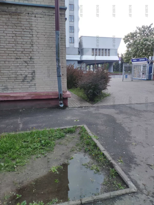 Очень красивая клумба на фоне горисполкома.