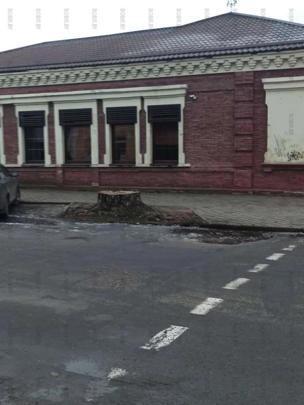 Почему не убирают пни?