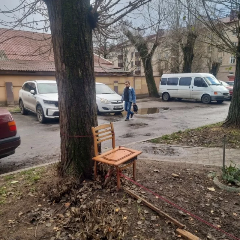 Чтоб стул не сделал ноги, его привязали к дереву