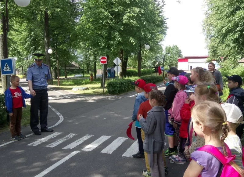 Предупредим ДТП