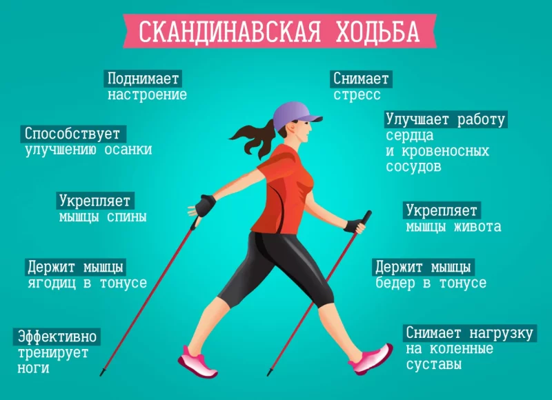 Скандинавская ходьба – альтернатива активному отдыху