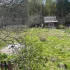 Дачный участок в 5 км от Бобруйска