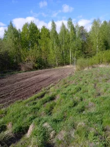 &quot;СОТ&quot; Дубовка 500 у.е