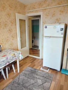 1 комнатную квартиру