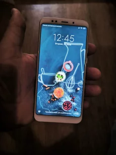 Xiaomi Redmi 5 plus