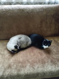 Нужна помощь