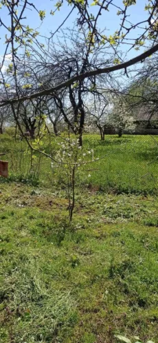 Дом с земельным участком