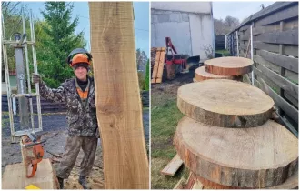 На дрова не годится. В Бобруйском лесхозе начали делать дубовые слэбы