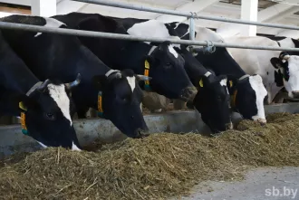 КГК проверил готовность к зиме: Бобруйский район – среди объектов с нарушениями