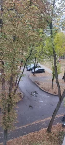 2-х комнатную квартиру на длительный срок
