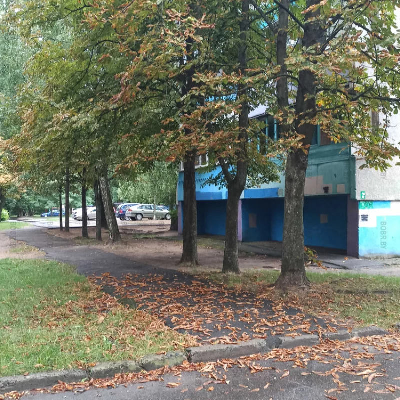 Осенние пейзажи можно всё чаще встретить в городе