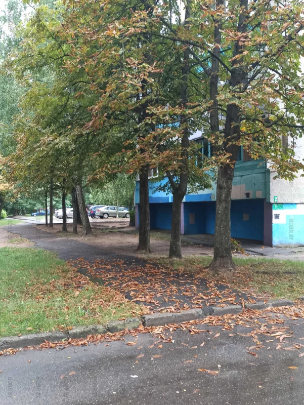 Осенние пейзажи можно всё чаще встретить в городе