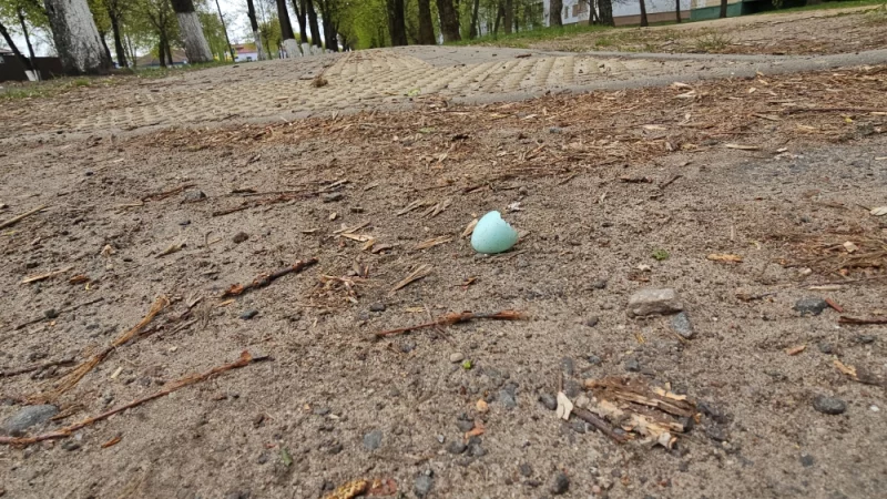 Кто-то вылупился