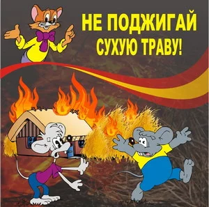Последствия палов