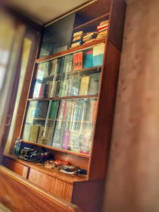 Книжный стеллаж