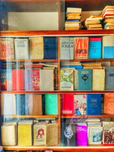 Книжный стеллаж