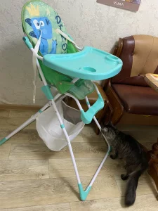 Стульчик для кормления