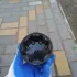 Крышка трамблера газ 53, зил 130 новая