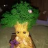 Отличный подарок