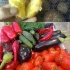 Картофель и овощи с доставкой