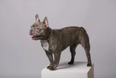 Ищем подружку