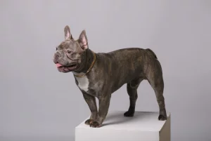 Ищем подружку