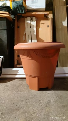 Декоративное дерево