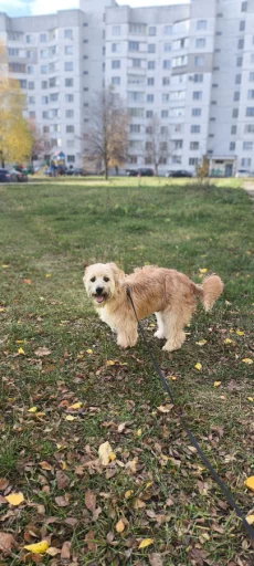 Особенный Джонни