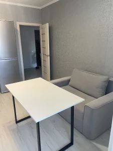 Квартира 1 ком. Площадь Ленина