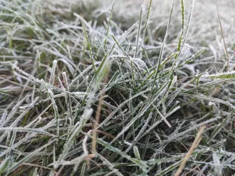 Какую погоду принесут первые октябрьские дни, рассказали синоптики