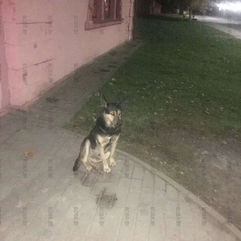 Хочу есть!