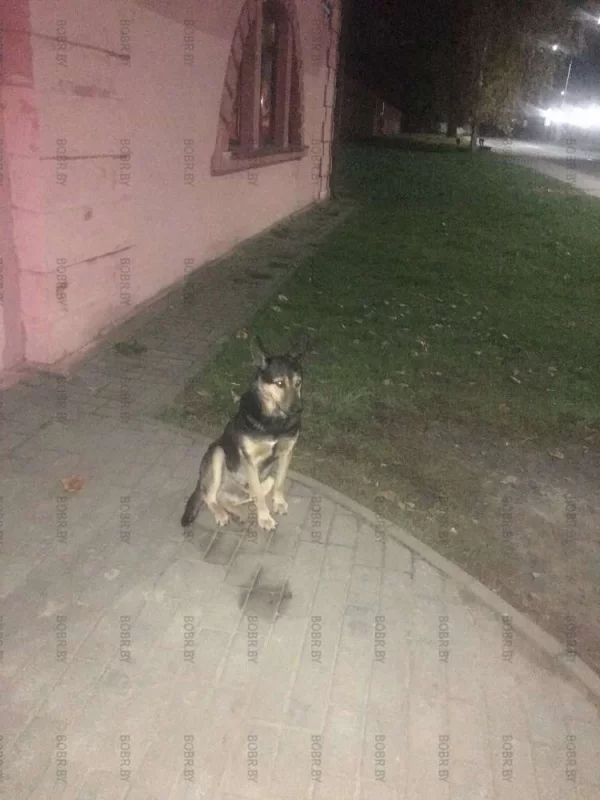 Хочу есть!