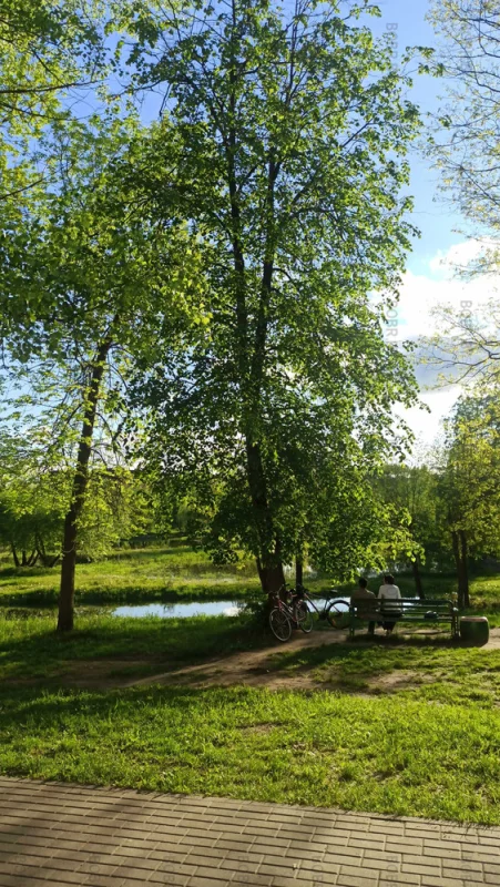 Весна.Парк. Хорошая погода. 
