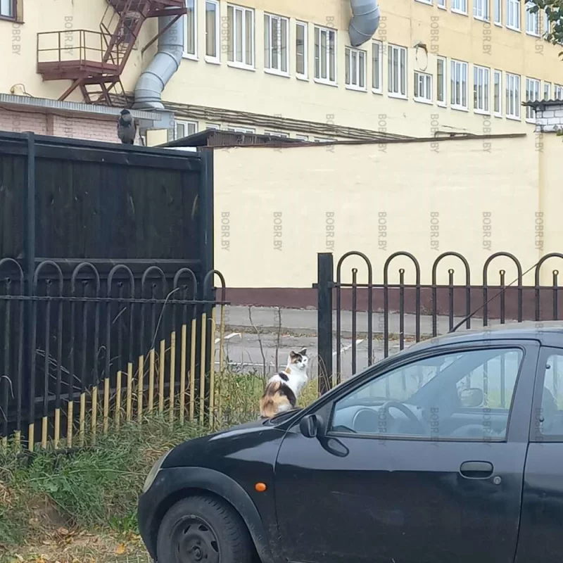 Предпусковой котогрев двигателя
