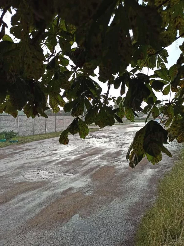 Внезапный вечерний ливень в городе