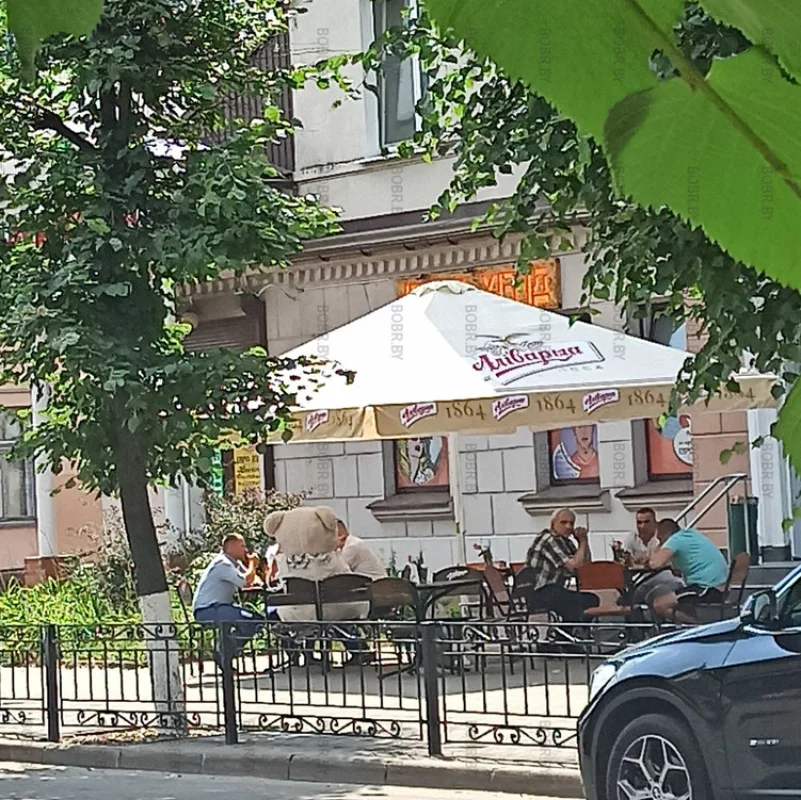 Медведь уже большой, пиво можно